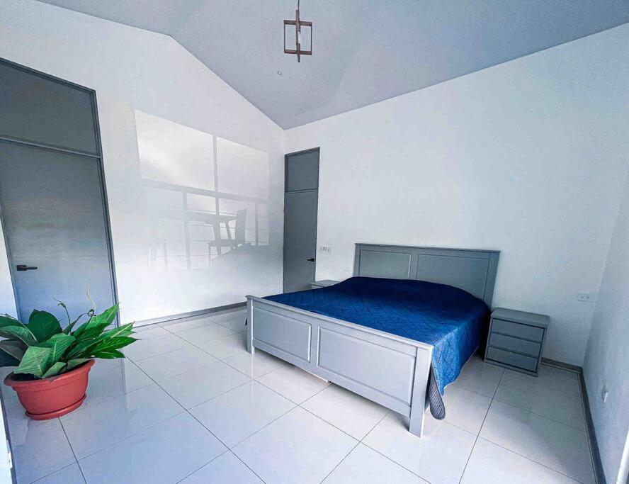 Vila Hector House Uvita Exteriér fotografie